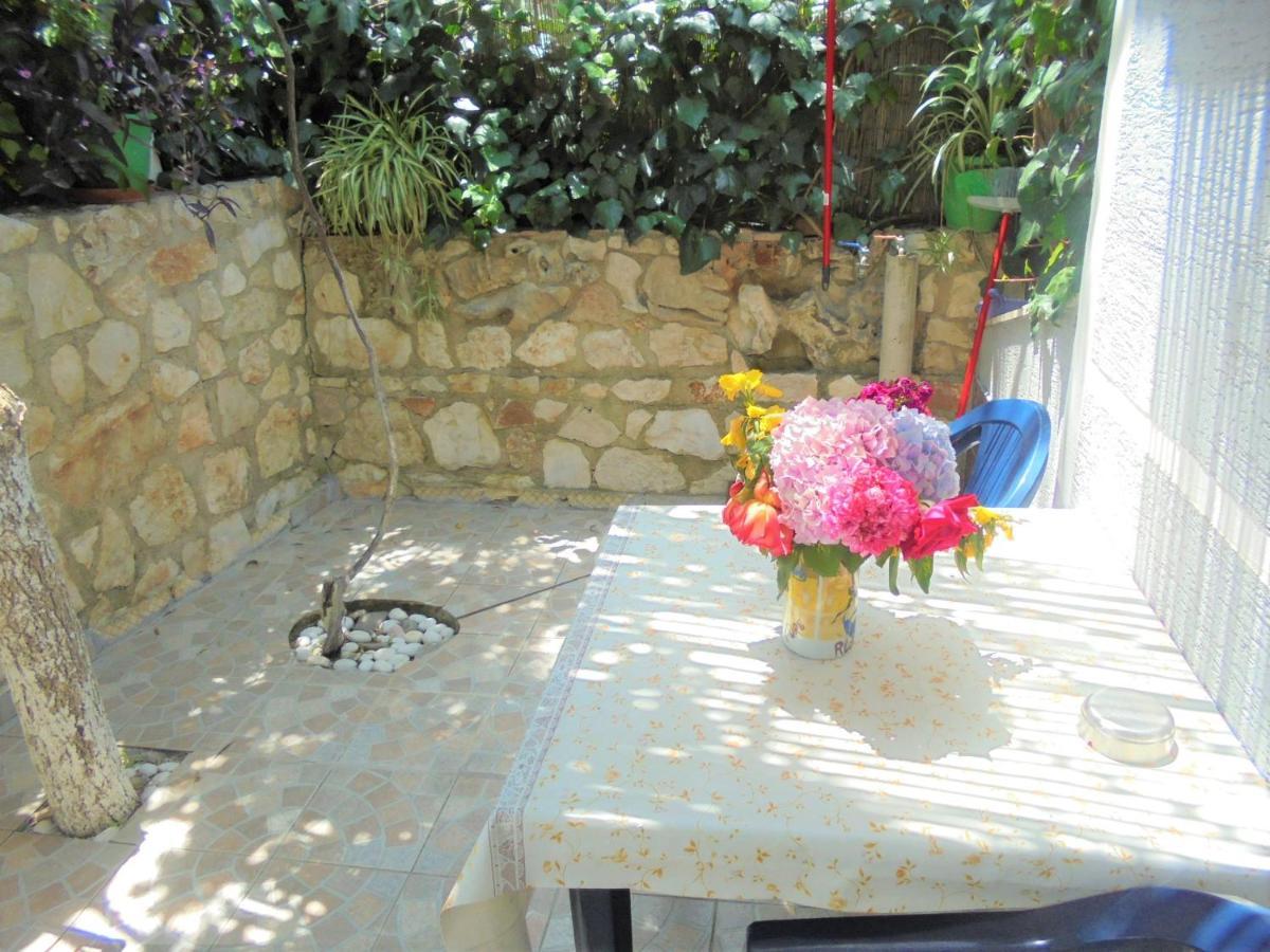 Apartament Zace
